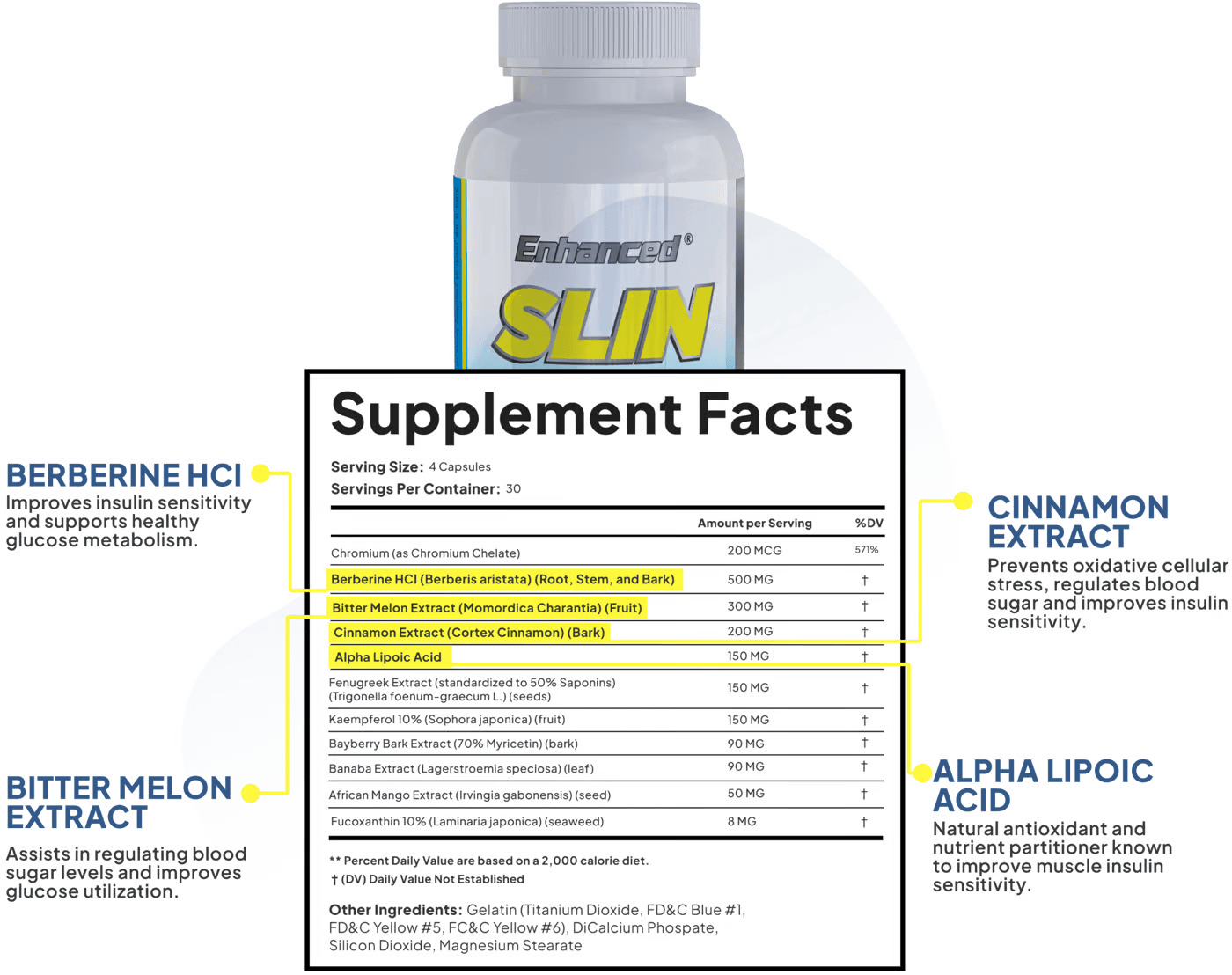 slin muscle growth supplement